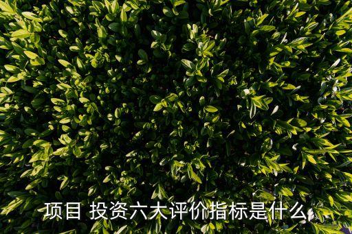項(xiàng)目 投資六大評(píng)價(jià)指標(biāo)是什么