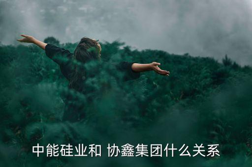 中能硅業(yè)和 協(xié)鑫集團什么關(guān)系