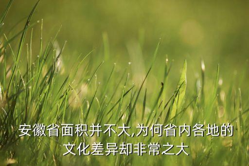 安徽和上海的文化,上海安徽經(jīng)濟(jì)文化促進(jìn)會(huì)