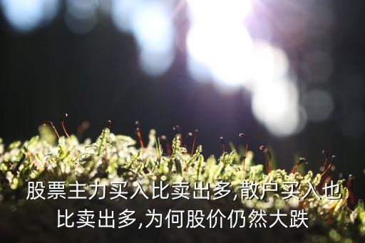  股票主力買(mǎi)入比賣(mài)出多,散戶買(mǎi)入也比賣(mài)出多,為何股價(jià)仍然大跌