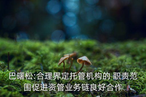 巴曙松:合理界定托管機構(gòu)的 職責范圍促進資管業(yè)務(wù)鏈良好合作