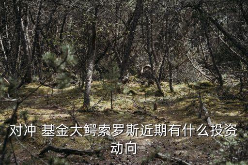 對(duì)沖 基金大鱷索羅斯近期有什么投資動(dòng)向