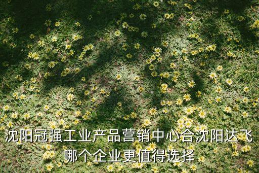 沈陽冠強(qiáng)工業(yè)產(chǎn)品營銷中心合沈陽達(dá)飛哪個(gè)企業(yè)更值得選擇