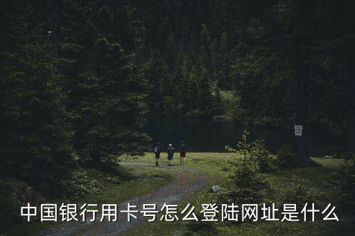  中國銀行用卡號(hào)怎么登陸網(wǎng)址是什么