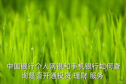 中國銀行個(gè)人網(wǎng)銀和手機(jī)銀行如何查詢是否開通投資 理財(cái) 服務(wù)
