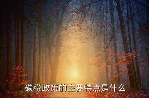  碳稅政策的主要特點(diǎn)是什么