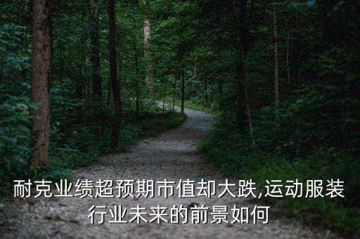耐克業(yè)績超預期市值卻大跌,運動服裝行業(yè)未來的前景如何