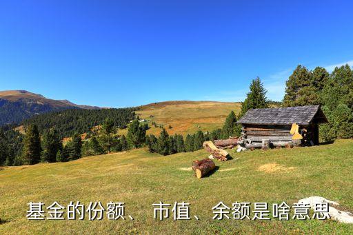 基金的份額、 市值、余額是啥意思