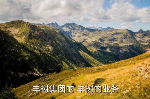 豐樹(shù)集團(tuán)的 豐樹(shù)的業(yè)務(wù)
