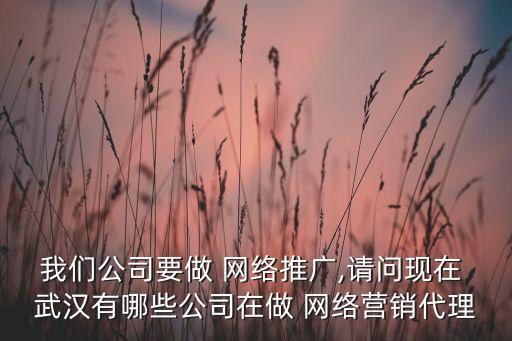 我們公司要做 網(wǎng)絡(luò)推廣,請(qǐng)問現(xiàn)在 武漢有哪些公司在做 網(wǎng)絡(luò)營銷代理
