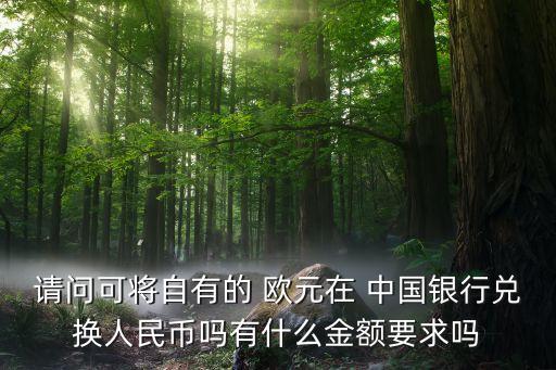 請(qǐng)問可將自有的 歐元在 中國銀行兌換人民幣嗎有什么金額要求嗎
