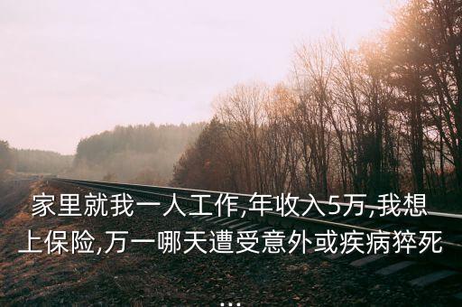 家里就我一人工作,年收入5萬,我想上保險(xiǎn),萬一哪天遭受意外或疾病猝死...