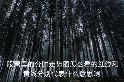  股票里的分時(shí)走勢圖怎么看的紅線和黃線分別代表什么意思啊