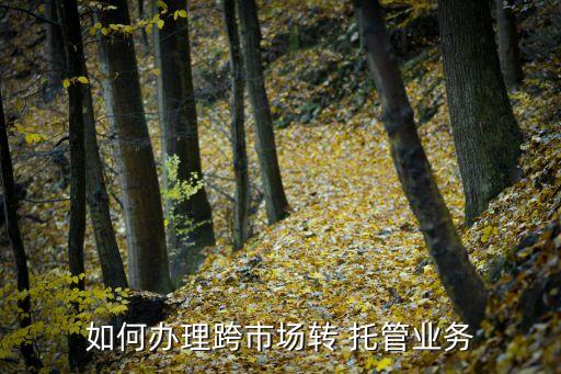 上海場(chǎng)外直銷(xiāo)基金轉(zhuǎn)托管,天天基金場(chǎng)外基金轉(zhuǎn)托管到證券公司