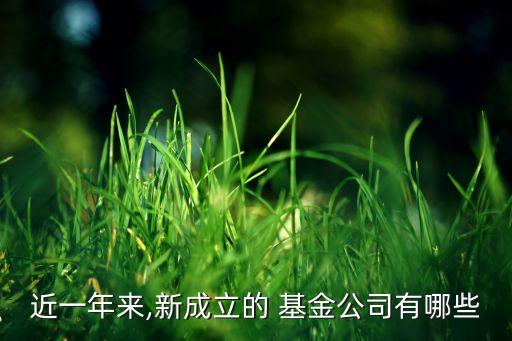 近一年來,新成立的 基金公司有哪些