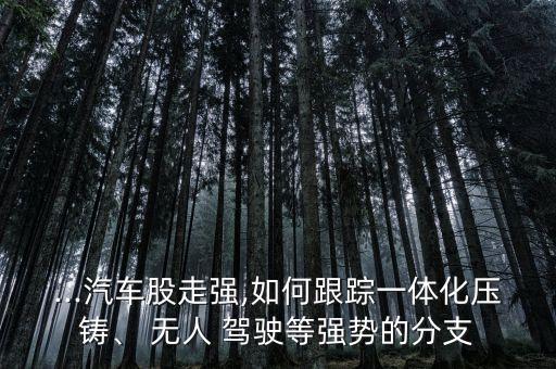 ...汽車股走強,如何跟蹤一體化壓鑄、 無人 駕駛等強勢的分支