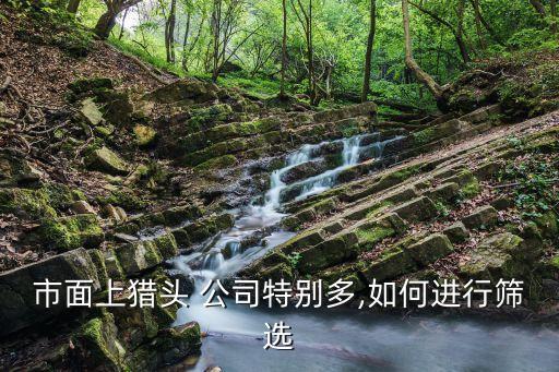 珠?；ヂ?lián)網(wǎng)金融公司招聘,互聯(lián)網(wǎng)金融公司招聘要求