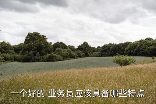 一個好的 業(yè)務(wù)員應(yīng)該具備哪些特點