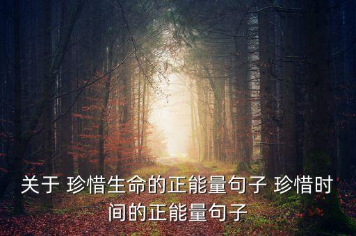 關(guān)于 珍惜生命的正能量句子 珍惜時間的正能量句子