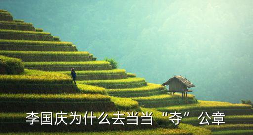 李國慶為什么去當(dāng)當(dāng)“奪”公章
