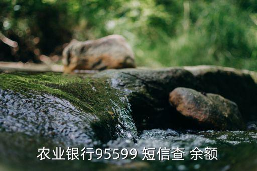 中國農業(yè)銀行查詢余額短信,下載中國農業(yè)銀行可以查詢余額嗎