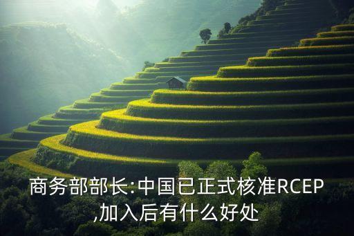 中國(guó)與東盟服務(wù)貿(mào)易