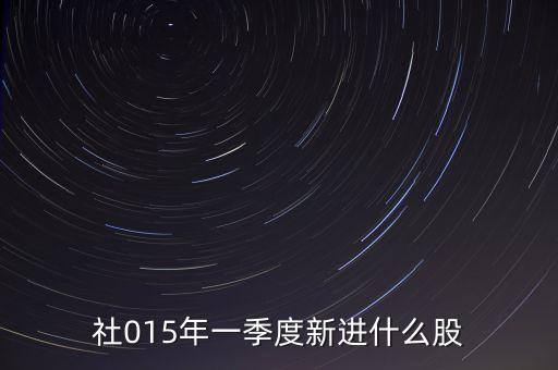 社保基金一零八組合,全國社?；鸾M合