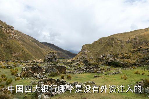 中國(guó)四大銀行哪個(gè)是沒(méi)有外資注入的