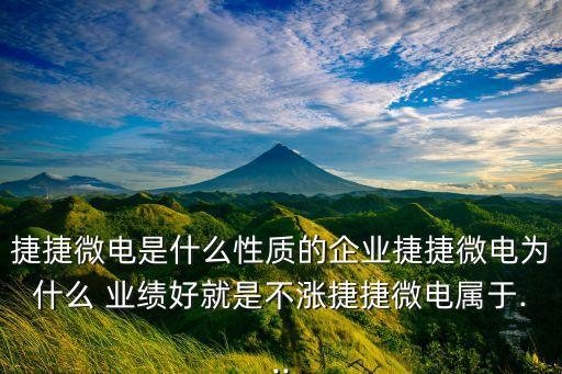業(yè)績好的公司