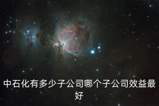 中石化有多少子公司哪個子公司效益最好