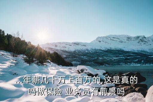 ...年薪幾十萬上百萬的,這是真的嗎做保險 業(yè)務(wù)員有前景嗎
