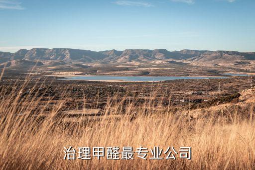 治理甲醛最專(zhuān)業(yè)公司