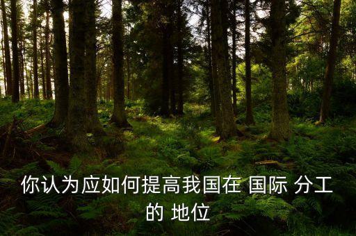 你認(rèn)為應(yīng)如何提高我國在 國際 分工的 地位