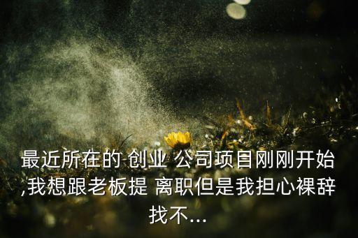 最近所在的 創(chuàng)業(yè) 公司項目剛剛開始,我想跟老板提 離職但是我擔心裸辭找不...
