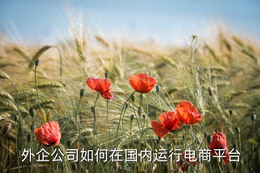  外企公司如何在國內運行電商平臺