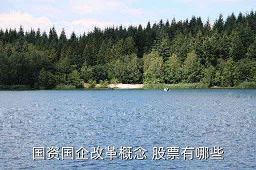 國(guó)資國(guó)企改革概念 股票有哪些