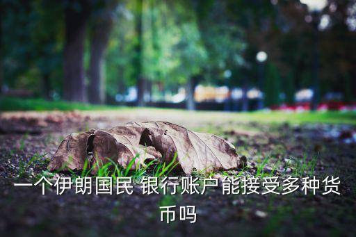 一個(gè)伊朗國(guó)民 銀行賬戶(hù)能接受多種貨幣嗎