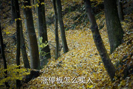 漲停板買(mǎi)股票,怎么在漲停板上買(mǎi)股票