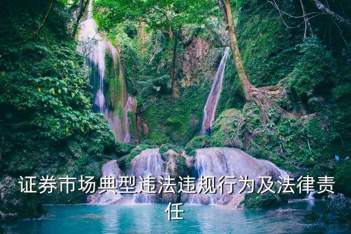 協(xié)會(huì)對(duì)證券公司委托,征集人自行或者委托證券公司