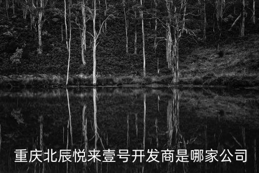  重慶北辰悅來(lái)壹號(hào)開(kāi)發(fā)商是哪家公司