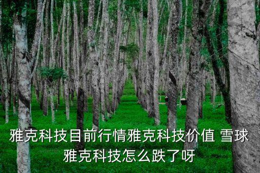 雅克科技目前行情雅克科技價值 雪球雅克科技怎么跌了呀