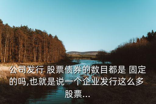 公司發(fā)行 股票債券的數(shù)目都是 固定的嗎,也就是說一個(gè)企業(yè)發(fā)行這么多 股票...