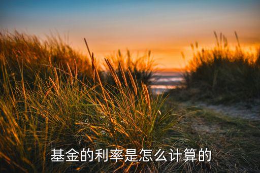 中國紅1號基金凈值