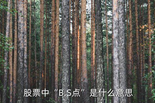  股票中“B.S點”是什么意思