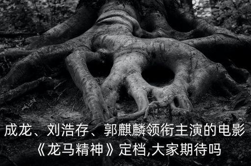 成龍、劉浩存、郭麒麟領(lǐng)銜主演的電影《龍馬精神》定檔,大家期待嗎