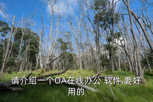 請介紹一個(gè)OA在線辦公 軟件,要好用的