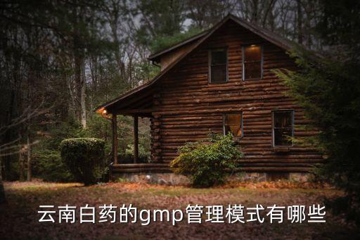 云南白藥集團(tuán)分析