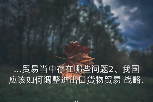 ...貿(mào)易當(dāng)中存在哪些問(wèn)題2、我國(guó)應(yīng)該如何調(diào)整進(jìn)出口貨物貿(mào)易 戰(zhàn)略...