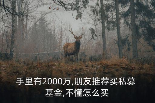手里有2000萬(wàn),朋友推薦買私募 基金,不懂怎么買
