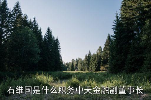 石維國是什么職務(wù)中天金融副董事長